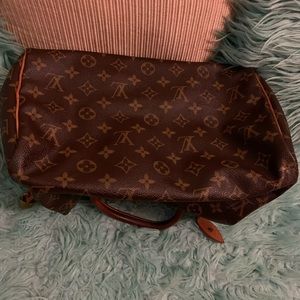 Louis Vuitton Satchel Mint